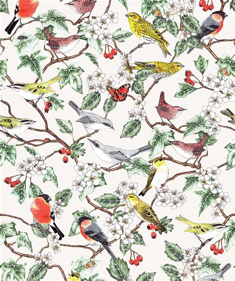 Bird Pattern Wallpapers Top Free Bird Pattern Backgrounds