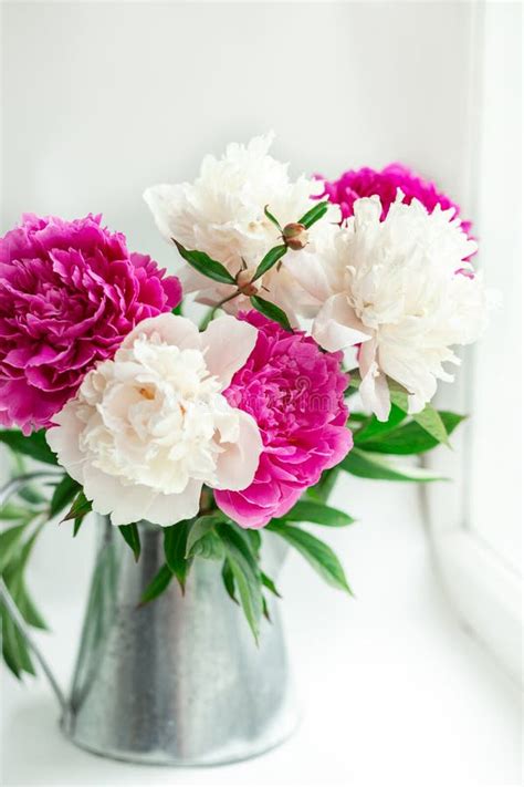 Bouquet Of Beautiful Peonies On The Windowsill Pink And White Peonies