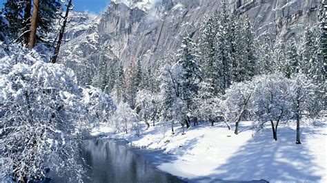 Free Download Winter And Snow Scenes 2560x1440 For Your Desktop