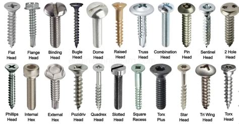 Types Of Screw Heads Design Talk