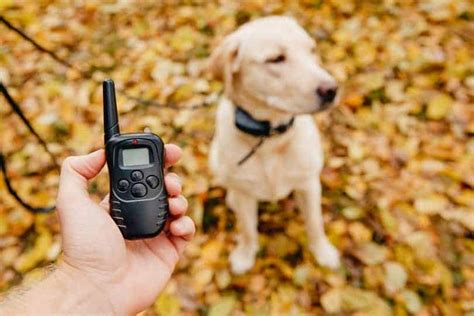 Best Electronic Dog Training Collars Top Picks 2018 Doggytastic