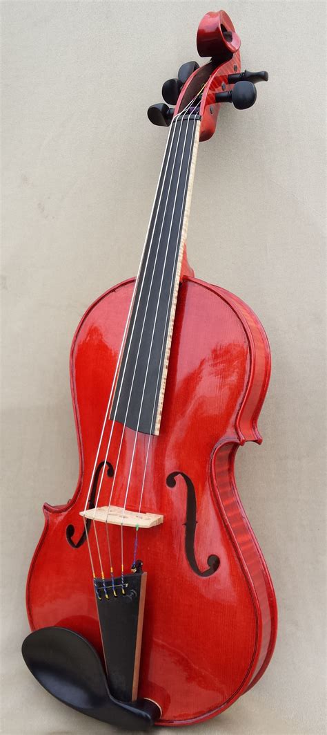 5 String Violin Tim Phillips Violins