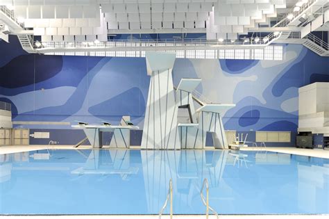 Synchronised diving is additionally scored on how well two divers match each other's movements. Diving | TPASC - Toronto Pan Am Sports Centre