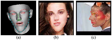 facial landmark annotations to evaluate the accuracy of our model a download scientific