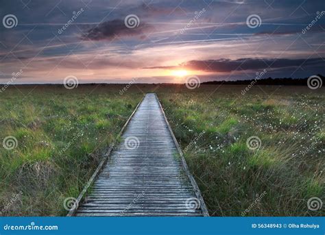 Wooden Path On Marsh And Sunset Stock Image Image Of Serene