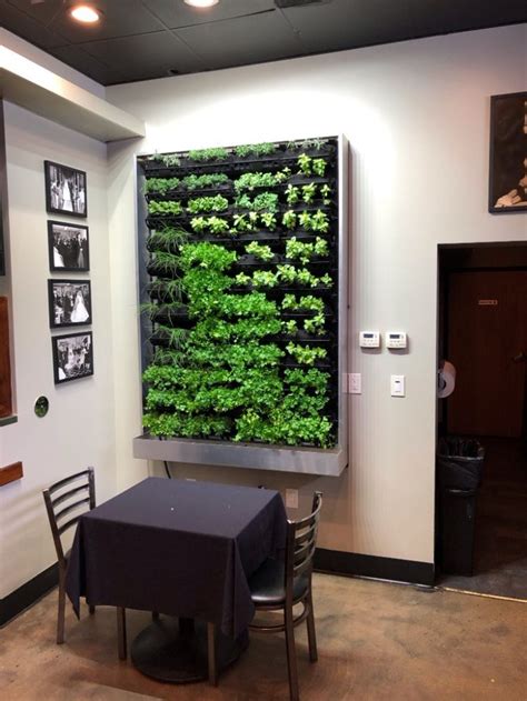Restaurants Fresh Herb Wall In 2021 Vertical Garden Vertical Garden