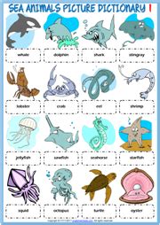 Sea Creatures Quiz With Answers Printable