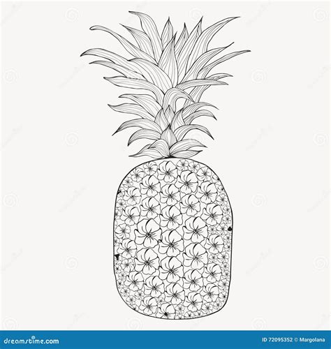 Pineapple Adult Coloring Page Cartoon Vector 71695615