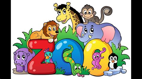 Learning English Learning English Animals For Kid