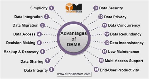 Advantages Of Dbms Database Management System Tutorialsmate