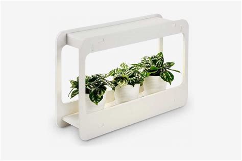Everything You Need To Grow An Indoor Herb Garden Grow Lights For