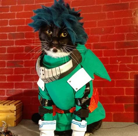 potret cosplay kucing  tirukan karakter film