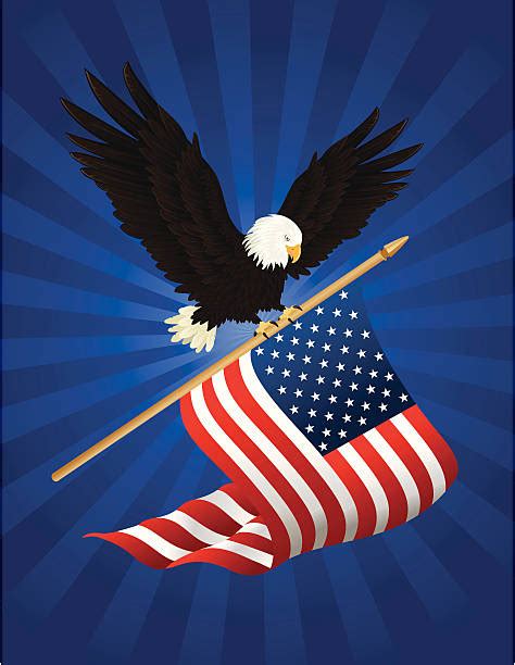 Bald Eagle American Flag Illustrations Royalty Free Vector Graphics