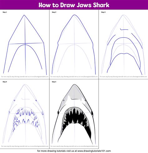 How To Draw Jaws Shark Other Animals Step By Step