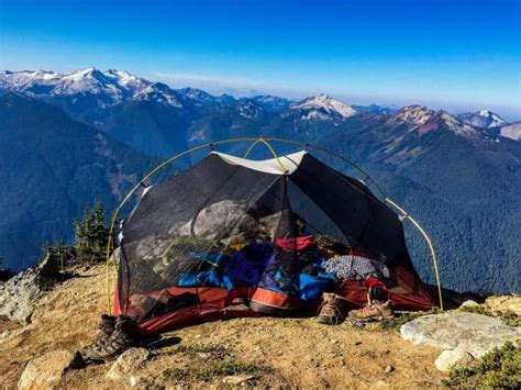 There are quite a few trails in the park. 10 Reasons to Visit Saguaro National Park in Arizona ...