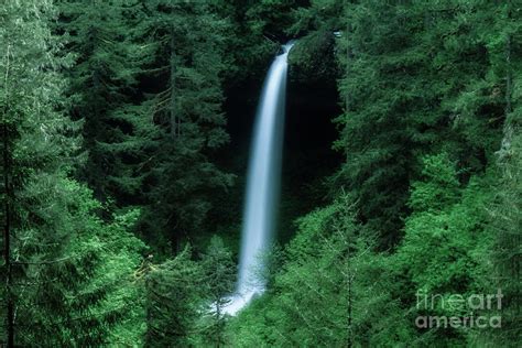 North Falls Silver State Park Oregon Photograph By Kay Martin Pixels