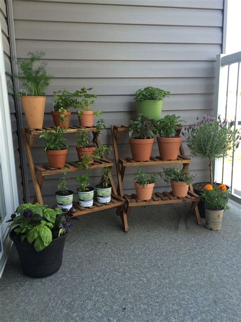 Herb Pots Balcony Thuem Garden Plant