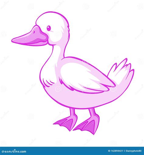 Pink Duck Quack Cartoon Vector Cartoondealer Com