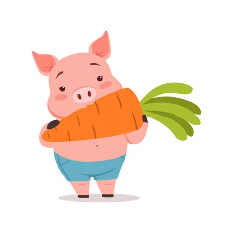 Happy Smiling Little Baby Cartoon Pig Animal Farm Vector Illustrations