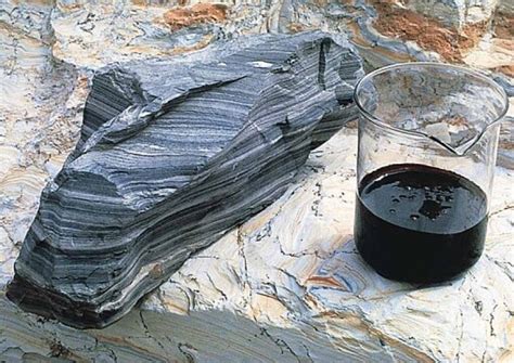 Dna Rock Science Helps Wring More Crude Oil From Shale Rock Boosting