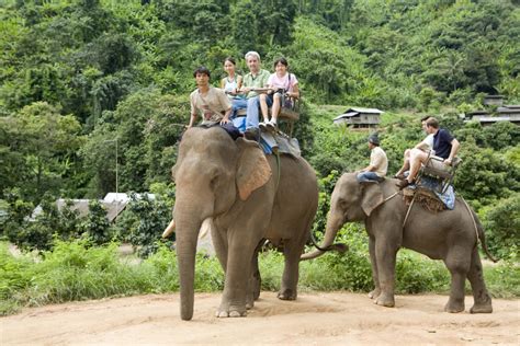 Things To Do In Chiang Mai Thailand 7 Of The Best By Howies Hometay