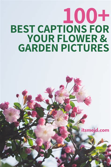 Maybe you would like to learn more about one of these? 100+ Perfect Flower and Garden Captions To Make You Smile