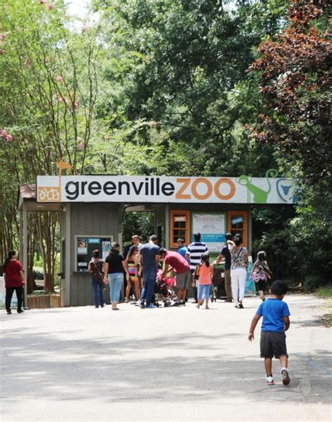 Greenville Sc Greenville Zoo Little Conquest