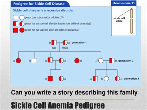 Inheritance Sickle Cell Anemia Pedigree Pedigrees And Analysis Learn About Sickle Cell Disease