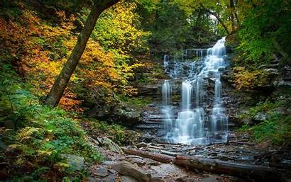 Waterfall Forest River Pennsylvania Cascading Fall Leaves