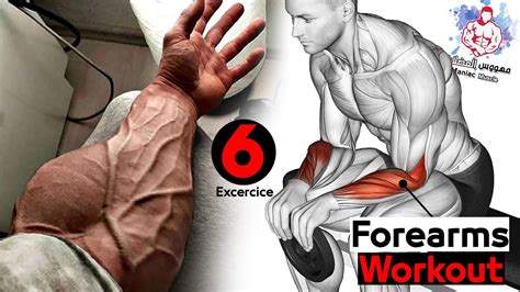 6 Best Exercises For Bigger Forearms Workout Youtube