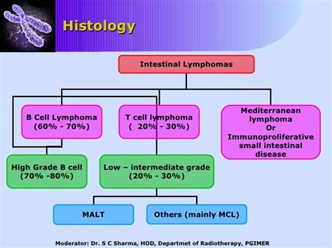 Management Of Gastrointestinal Lymphomas