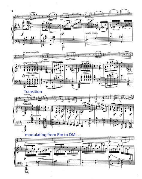 Sonata Allegro Form — Kaitlin Bove Music