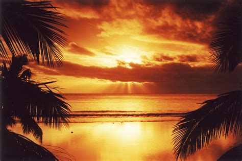 Free photo: Sunset on Rarotonga - Pacific, Raro, Rarotonga - Free Download - Jooinn