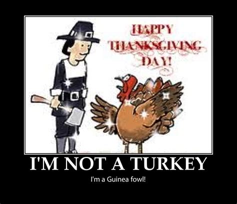 funny thanksgiving quotes quotesgram