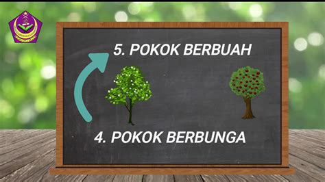 Bentuk asas perhatikan kad ucapan yang dihasilkan oleh murid tahun satu biru. SAINS TAHUN 2 UNIT 5 : TUMBUH-TUMBUHAN - YouTube