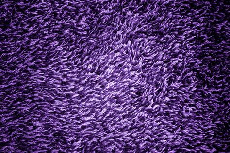 Purple Shag Carpeting Texture Picture Free Photograph Photos Public