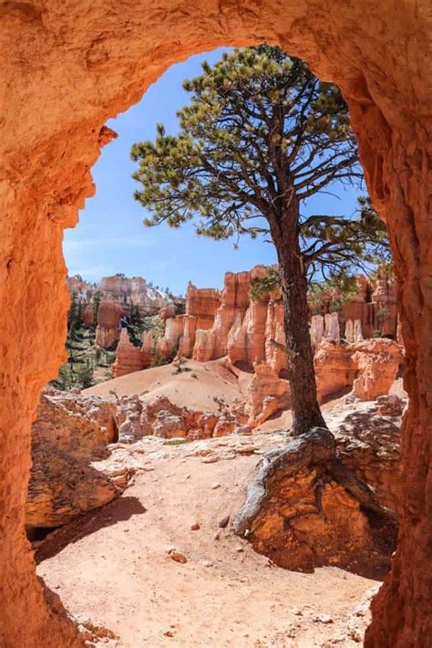 10 Best Hikes In Bryce Canyon National Park National Parks Experience