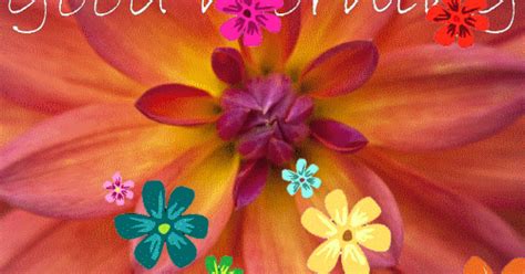 Animated Free  Good Morning Ecards  Animation Flowers Send Email