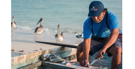 Pescadores Pausan La Captura Del Mero En Yucatán Diario Cambio 22