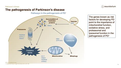 Parkinsons Disease Neurobiology And Aetiology Neurotorium