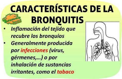 Caracteristicas De La Bronquitis Que Es Y Definicion Salud Y