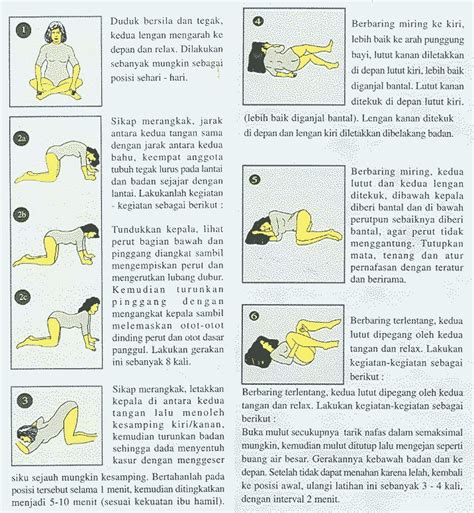 Cita citata, dinar candy, fero walandouw and others. Gambar Gerakan Senam Hamil ~ Best Bunda