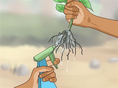 How to induce menstruation immediately? How to Induce Ovulation Naturally (with Pictures) - wikiHow