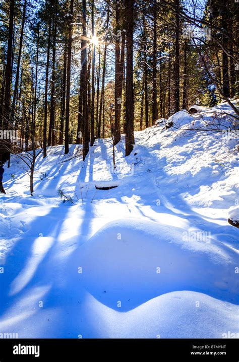 West Fork Trail In Oak Creek Canyon Near Sedona Arizona After Snow