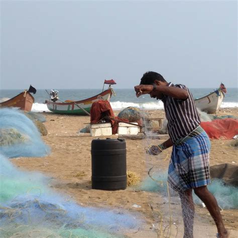 In Tamil Nadu Fishermen Protest A Four Month Fishing Ban Aimed At