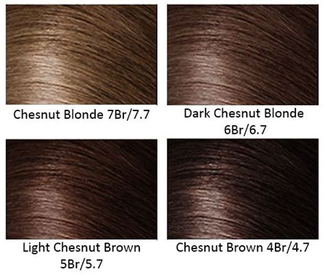 Chestnut Hair Color Chestnut Hair Color Coffee Hair Color Hair Color Chocolate