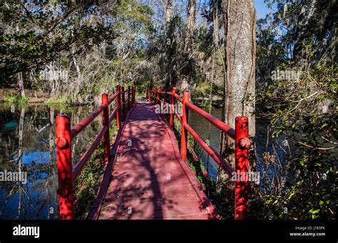 Red Garden Bridge Magnolia Plantation Charleston South Carolina Usa