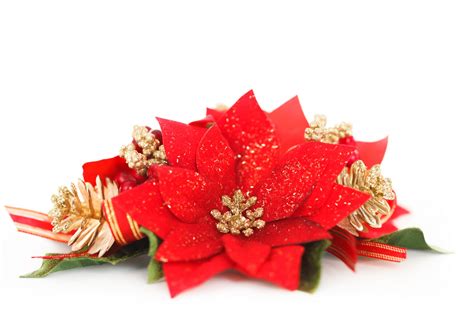 Redchristmasflowerdecorationholiday Free Image From