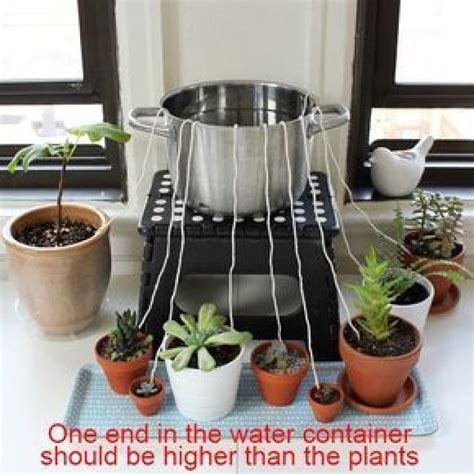 This Is The Best Way To Make Sure Your Plants Are Watered While You Are
