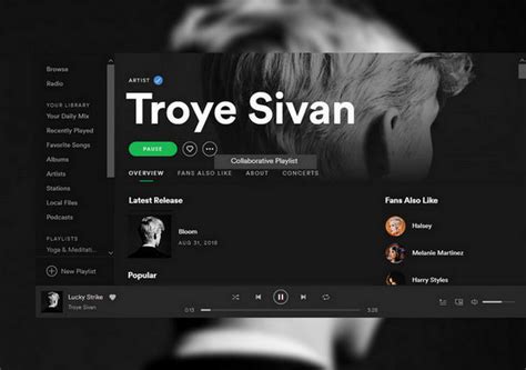 How To Make Collaborative Playlist On Spotify To Share With Friends